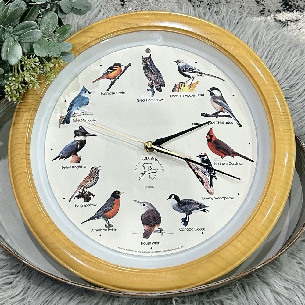 National Audubon Society 90's Singing Bird Watcher Clock Oak Color 13" Working
